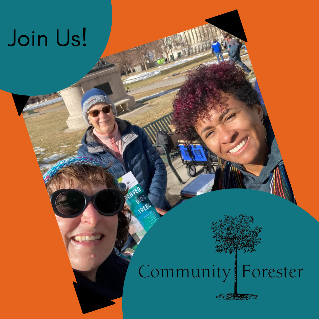 Community Foresters in Action - Join us!