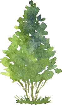 cta-tree