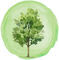 tree_mile_high_tree_champions
