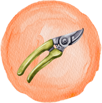 cf-program