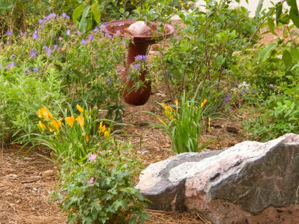 xeriscape
