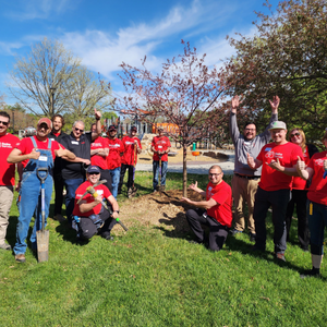 Group of 18+ volunteers in red t-shirts smile and present a newly planted tree in a park on a sunny day