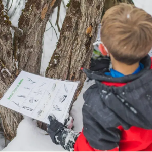 Child in coat holding a worksheet about animal habitats, while looking at a tree truck outside in the snow