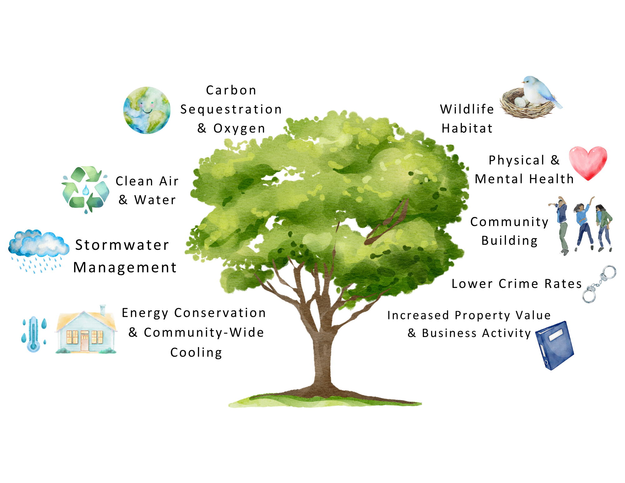 Tree Benefits