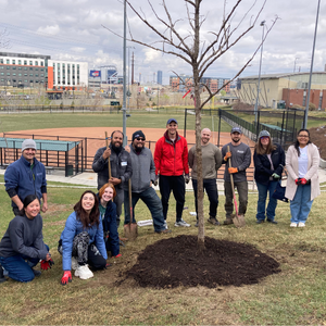 Group of 12 volunteers in coats, gathered around a newly planted tree at a park