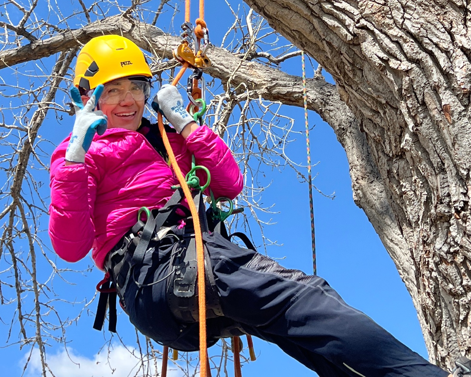 Yunuen climbing woman in harness and hardhat in a tree