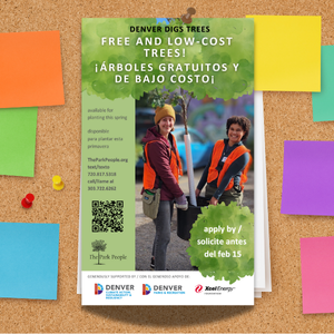 A small poster advertising Denver Digs Trees is tacked to a bulletin board, surrounded by colorful post it notes
